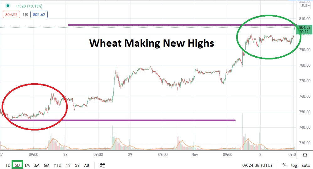 Análisis Técnico del Trigo Análisis Técnico del Trigo